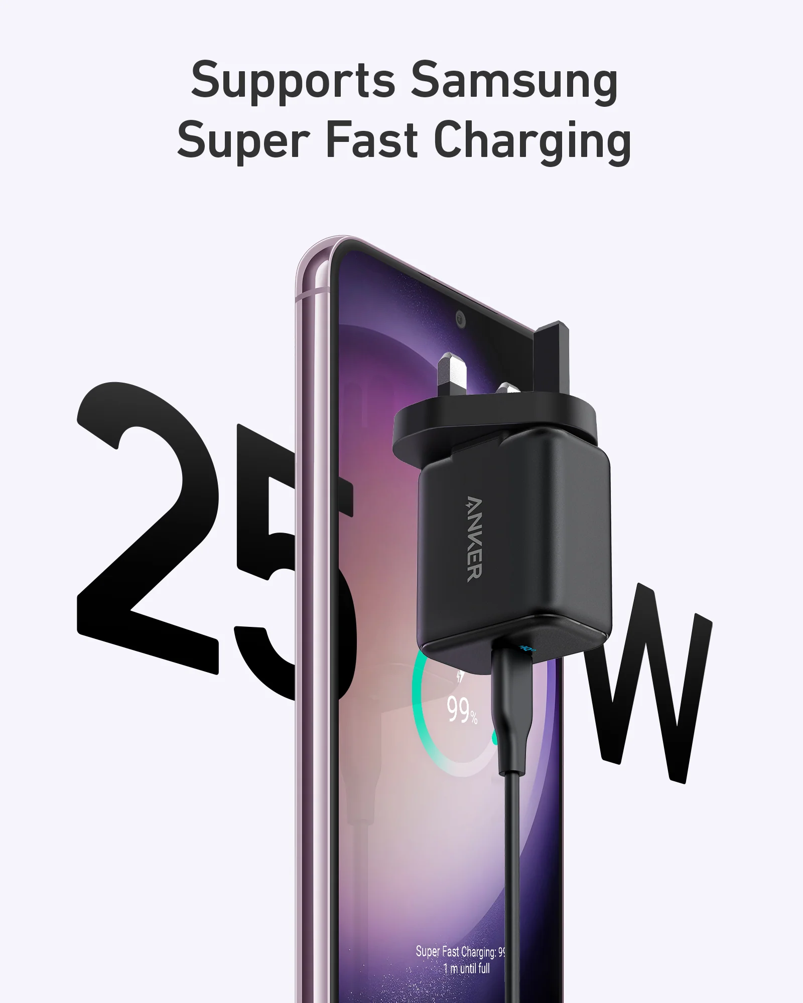 Anker 312 Charger (Ace, 25W)